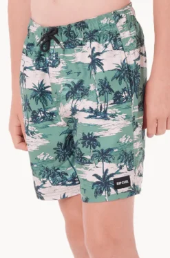 Boys Dreamers Volley Boardshort