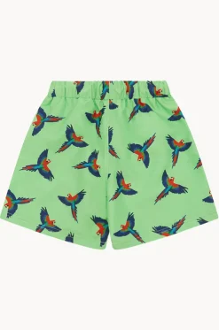 Boys Macaw Boardshort