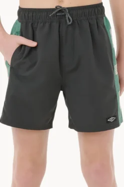 Boys Tropic Daze Panel Volley Boardshort