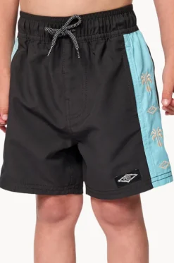 Boys Wave Dayz Panel Volley Boardshort