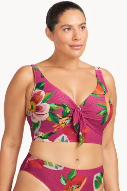 Le Recife Cezanne D/DD Cup Midriff Bra