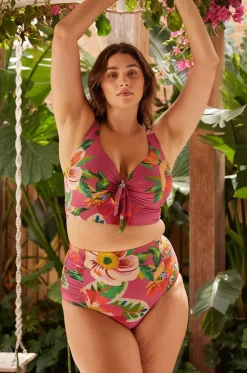 Le Recife Cezanne D/DD Cup Midriff Bra