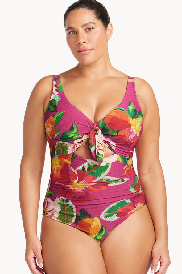 Le Recife Cezanne D/DD Cup One Piece
