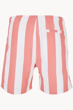 Mens Bar Stripe Swim Short