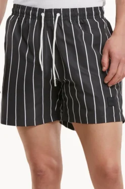 Mens Stripe Swim Short