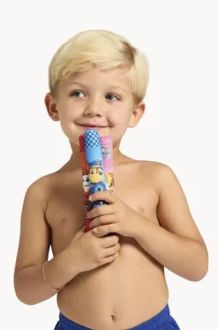 Paw Patrol Dive Sticks