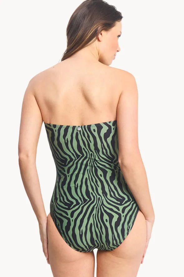 Zena D/DD Cup Bandeau One Piece